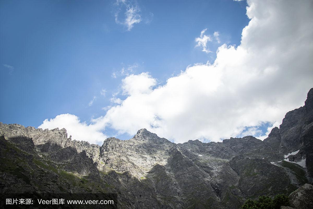 包含波兰遭遇失利，晋级前景蒙上阴影的词条