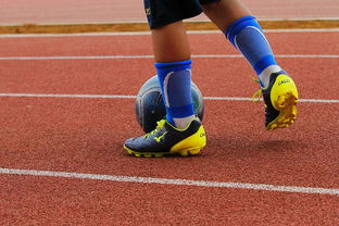 开云体育中国-鹿岛鹿角小将表现抢眼，劲旅添新力量