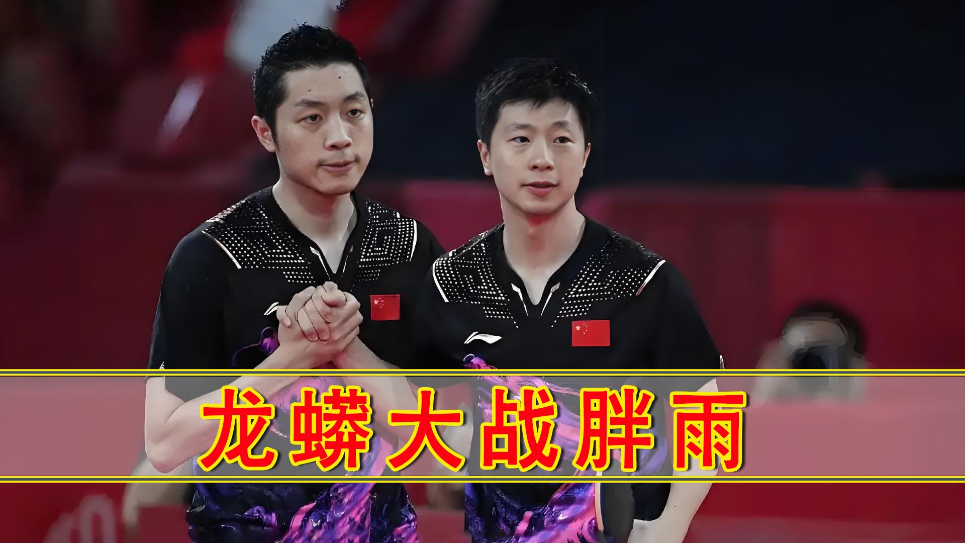 德国乒乓球队碾压波兰乒乓球队，马龙制霸全场的简单介绍