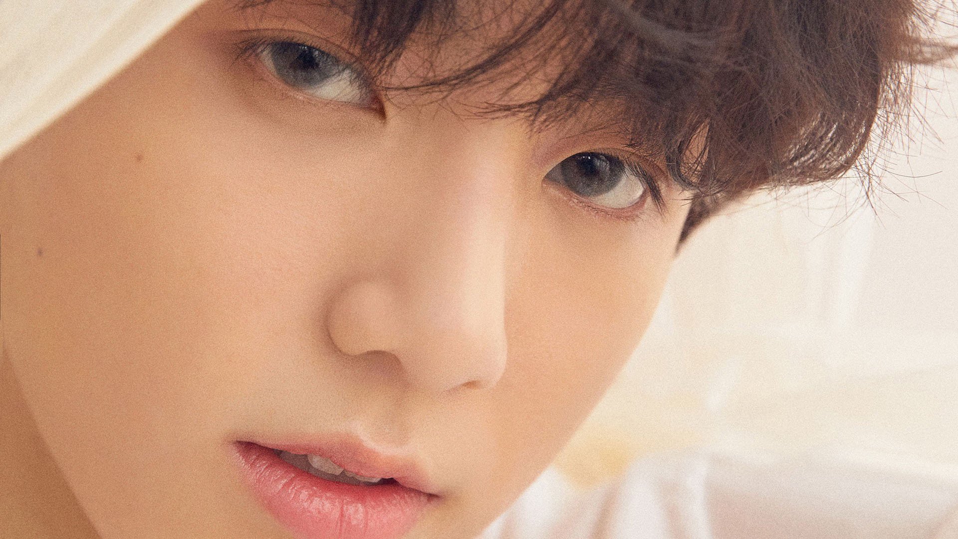 开云APP-轰鸣与静默，当维斯塔潘的引擎嘶吼遇见格林数据爆炸的寂静革命