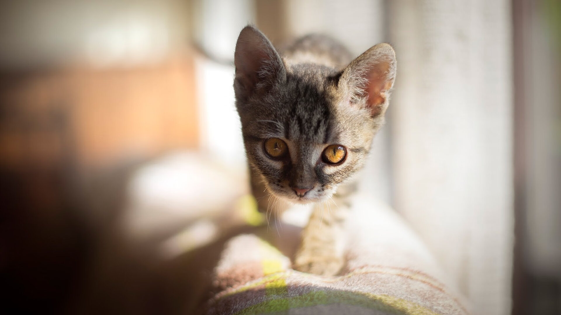 冰与火,当热火绝杀焚尽金州,莫兰特以狂澜重写世界