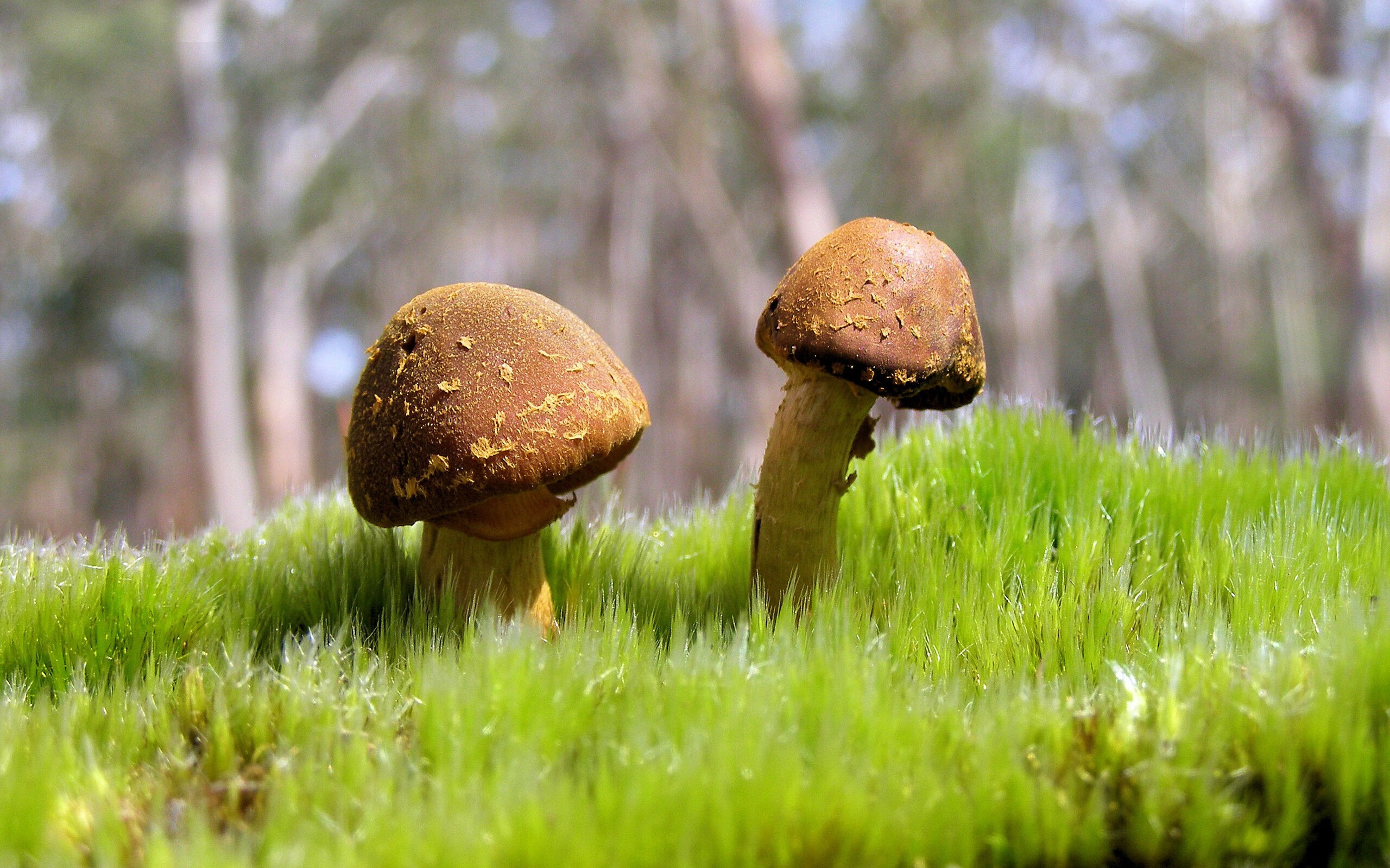 沪上烽火,纽约尼克斯鏖战上海大鲨鱼,保罗·乔治闪耀东方成绝对焦点