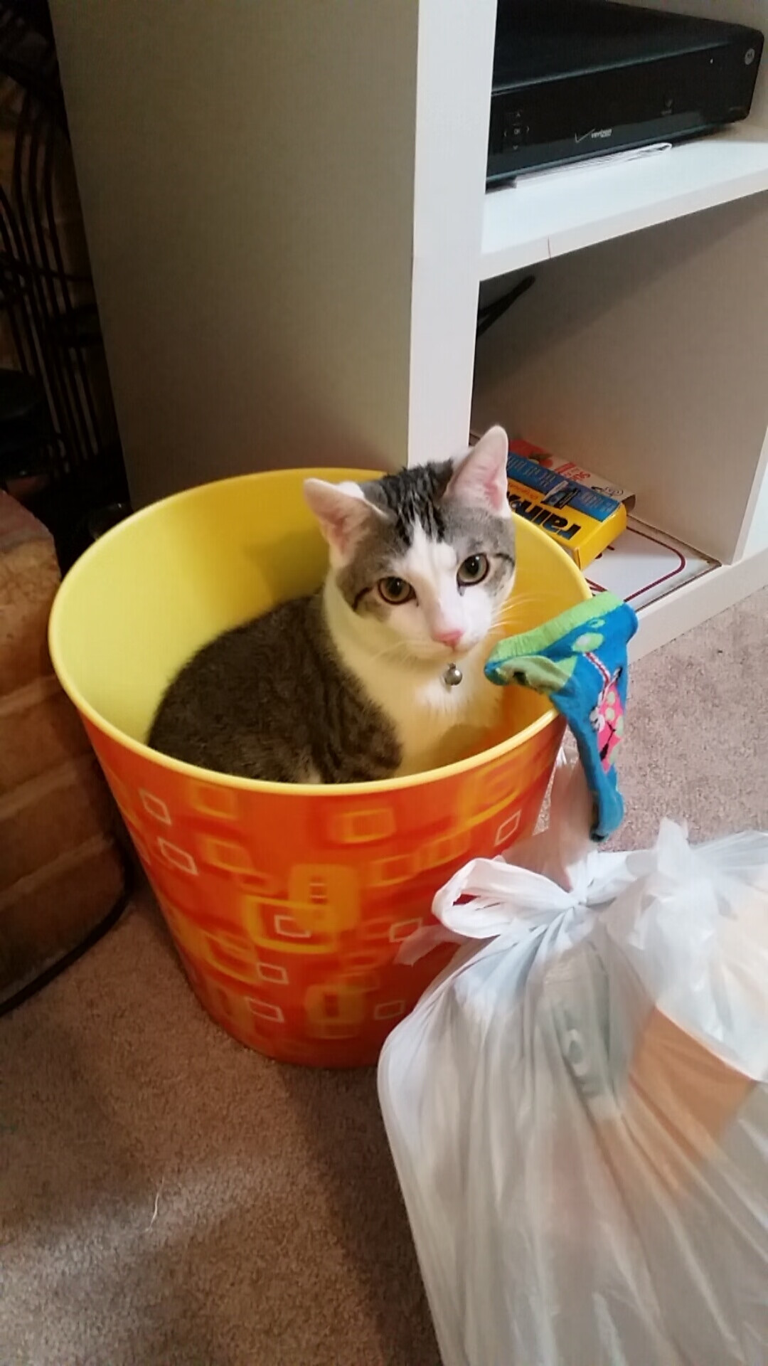 单节风暴,绝境英雄,托尼如何从质疑声中拯救秘鲁?